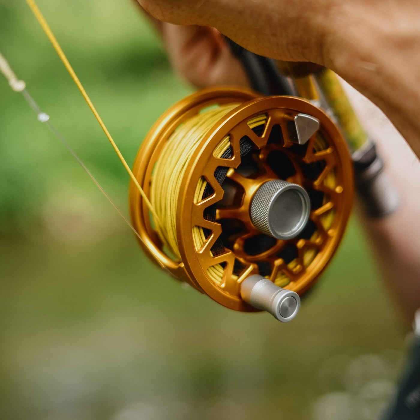 Vernly Series Stone Reel